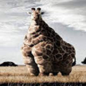 Meet your Posher, Madelena